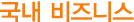 국내비즈니스