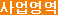 사업영역